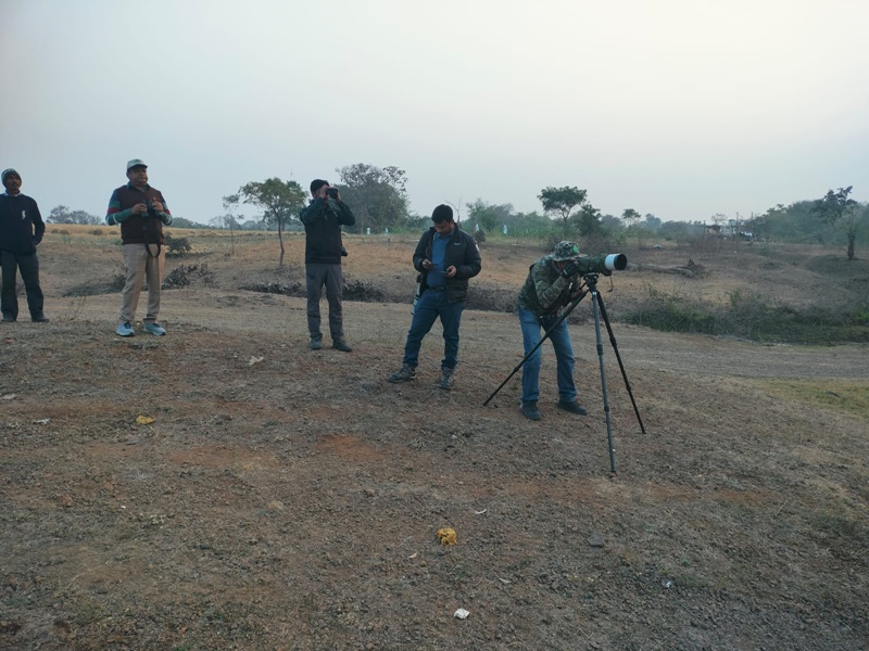 naidunia_image